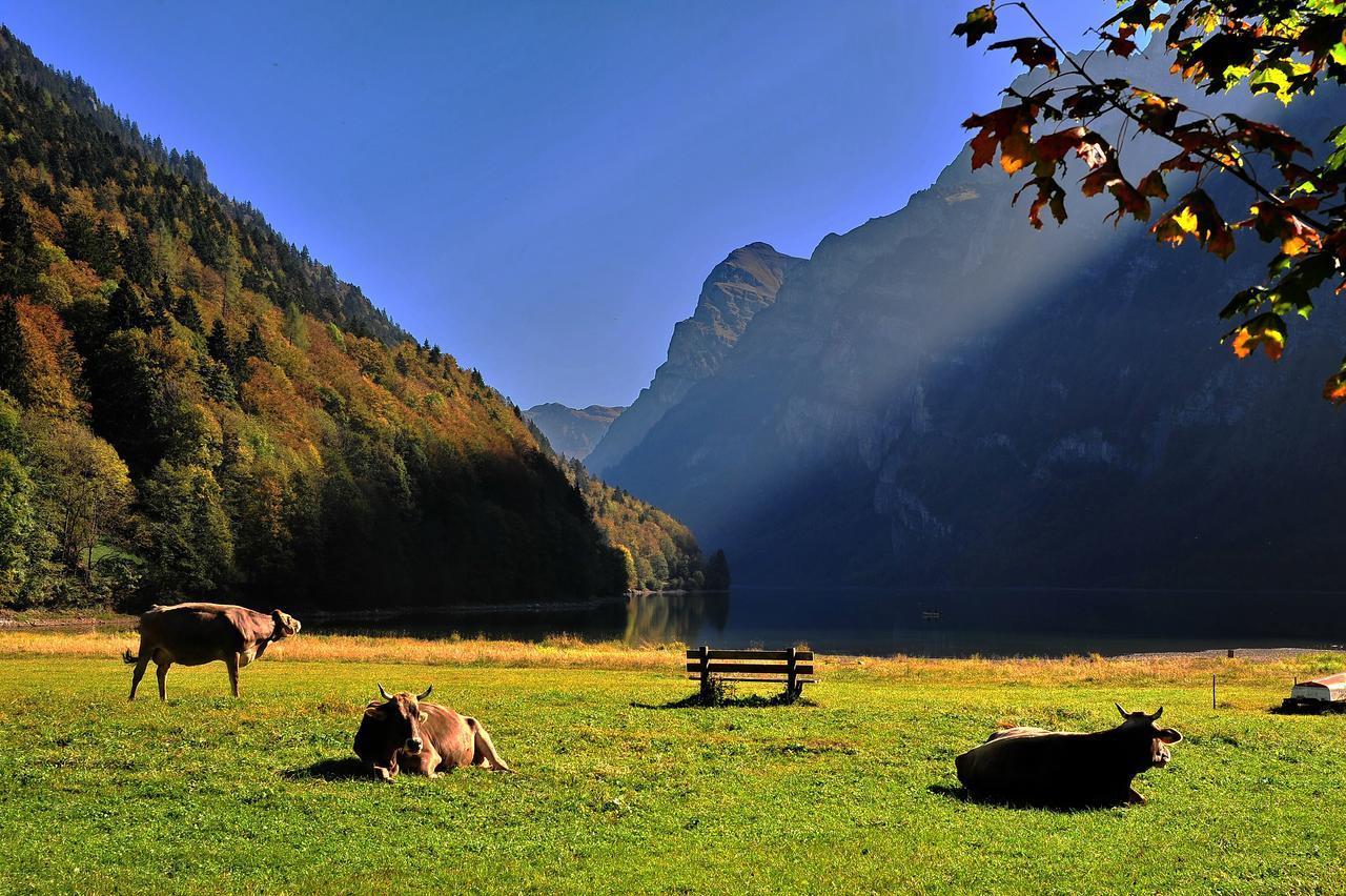 Hotel Freihof Glarus Εξωτερικό φωτογραφία